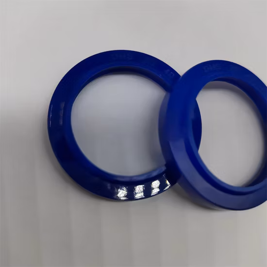 PTFE Spring Energized Seal for Food, Beverage, Medical, Pump, Hydraulic