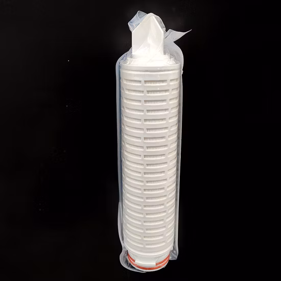 Different Type Special Spring Energized PTFE Seal/Variseal