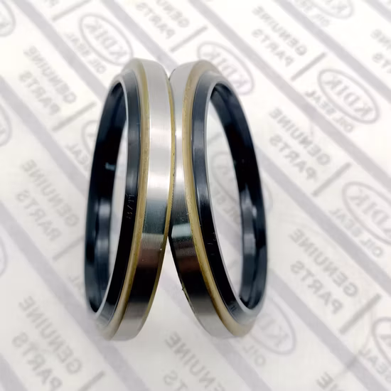 NBR Rubber Dkb Hydraulic Wiper Dust Seal 20*32*6/9