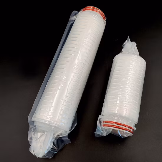 Different Type Special Spring Energized PTFE Seal/Variseal