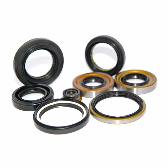 Customized FKM Hydraulic Rubber Pneumatic Seal Rubber Tc Type Oil Seal O Ring Seals