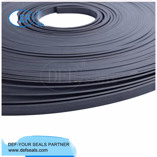 High Quality PTFE Wear Band