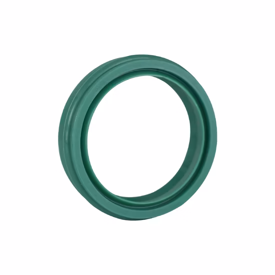 Cylinder Sealing Ring, Dust Ring, Oil Seal, Genuine Pneumatic Steam Seal